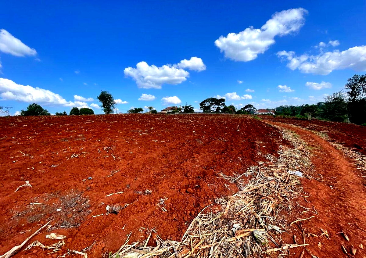 25-Acre Kitisuru Land at KSh 110M
