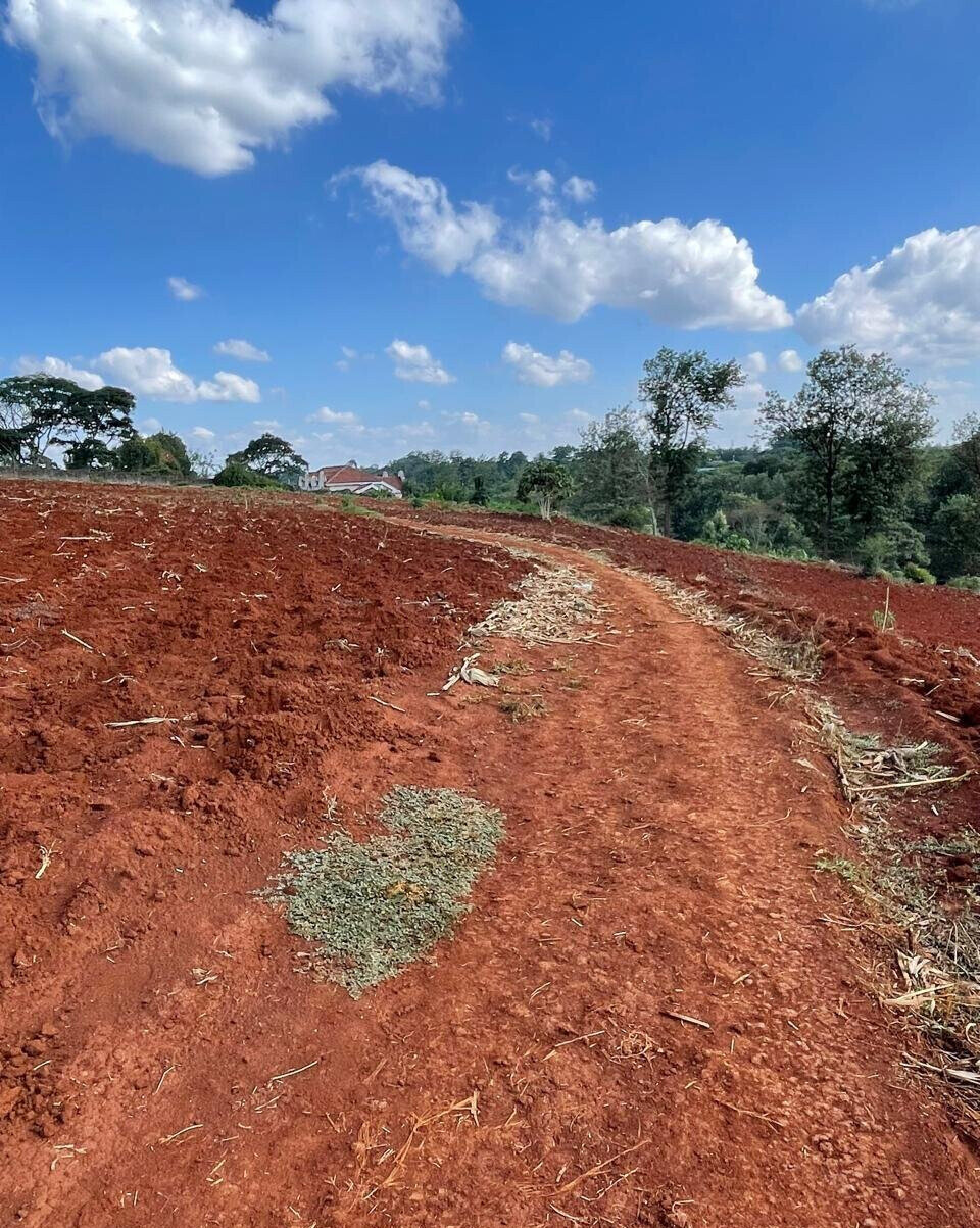 25-Acre Kitisuru Land at KSh 110M