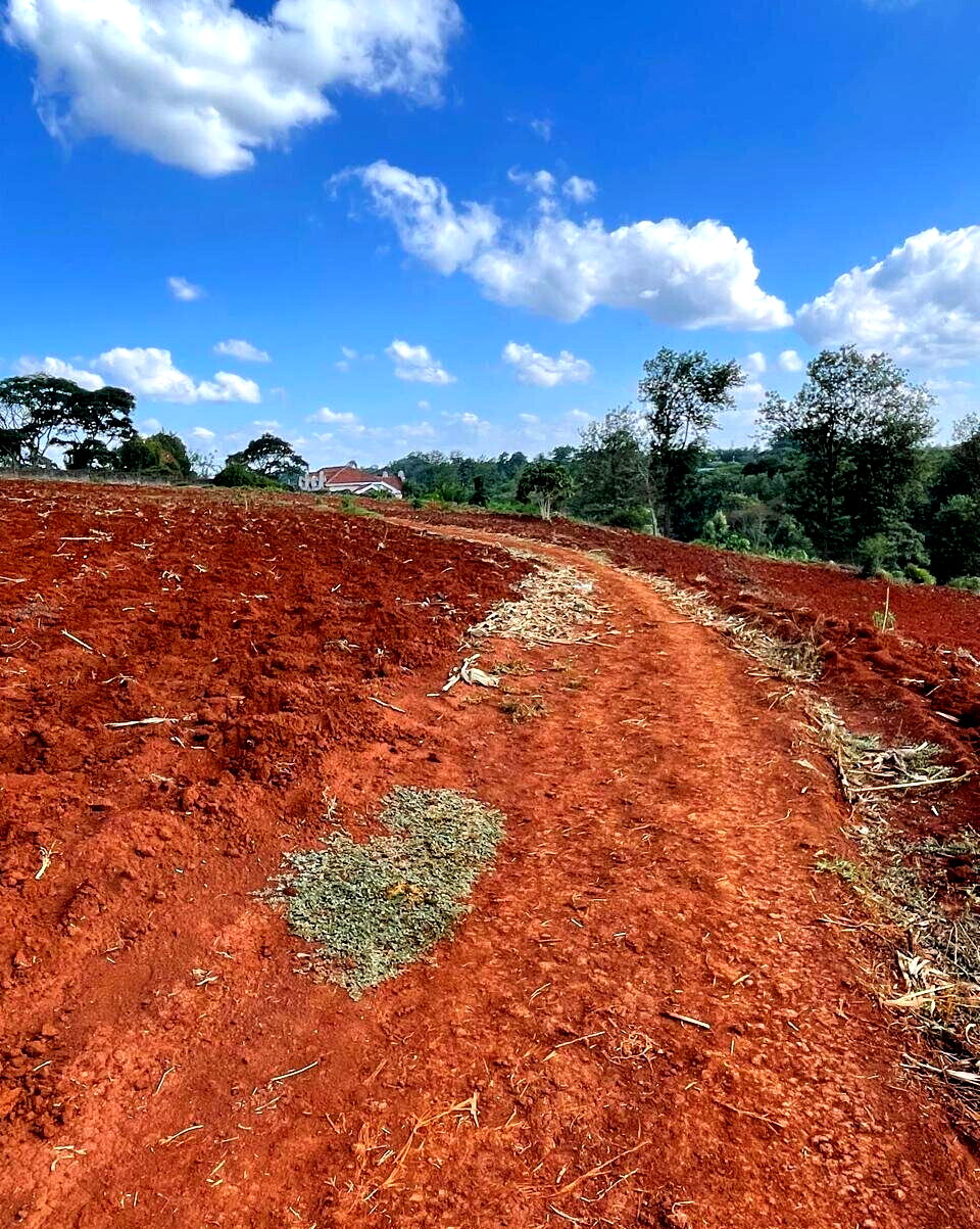 25-Acre Kitisuru Land at KSh 110M