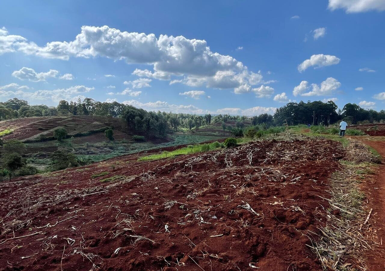 25-Acre Kitisuru Land at KSh 110M