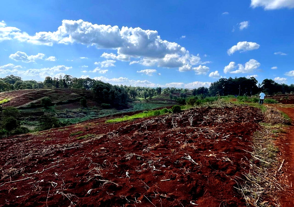 25-Acre Kitisuru Land at KSh 110M
