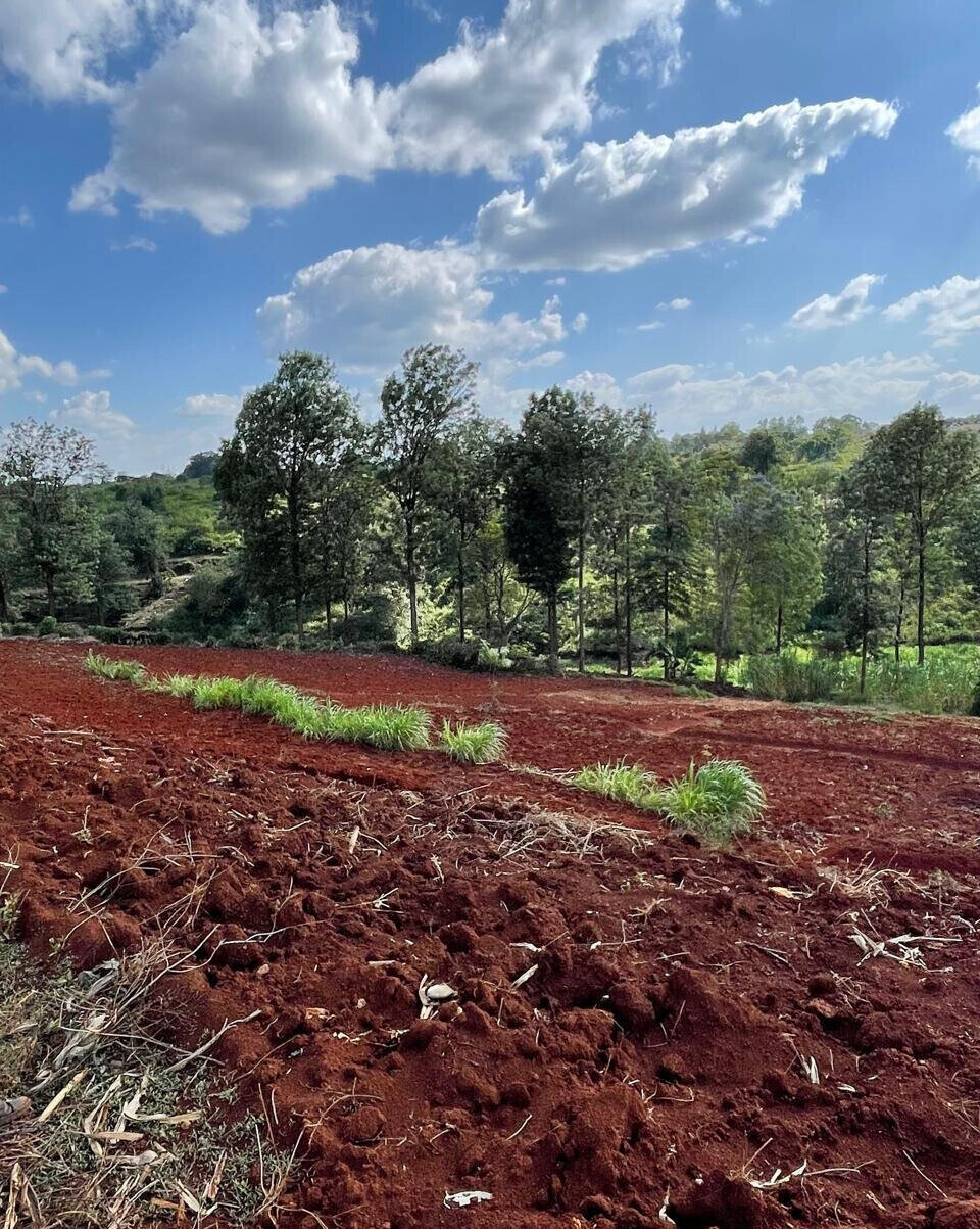 25-Acre Kitisuru Land at KSh 110M