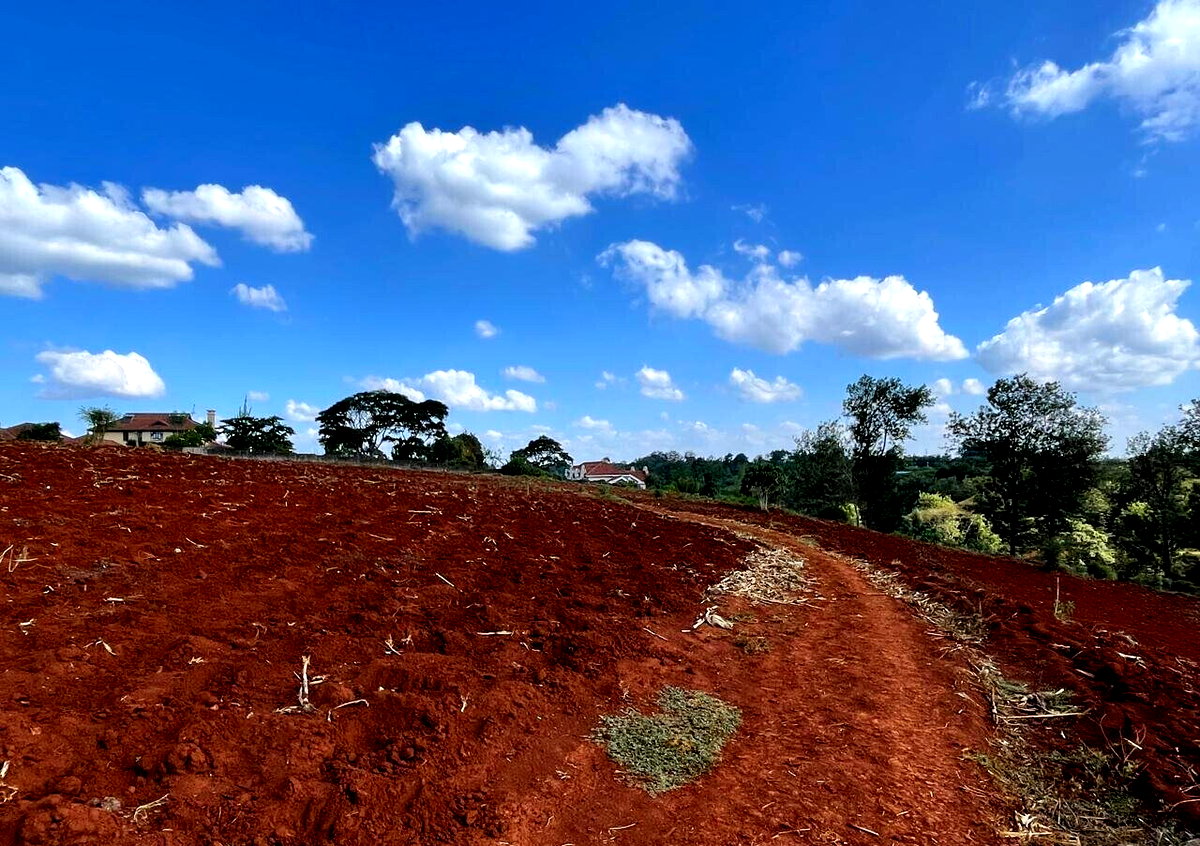 25-Acre Kitisuru Land at KSh 110M