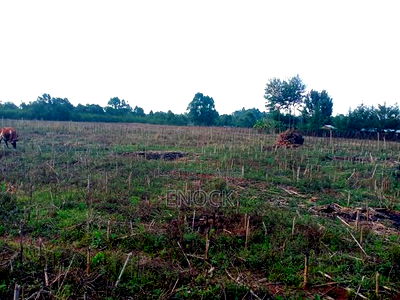 1.5acres for Sale in Mugundoi - Image 2