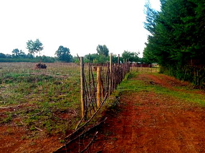 1.5acres for Sale in Mugundoi - Image 4