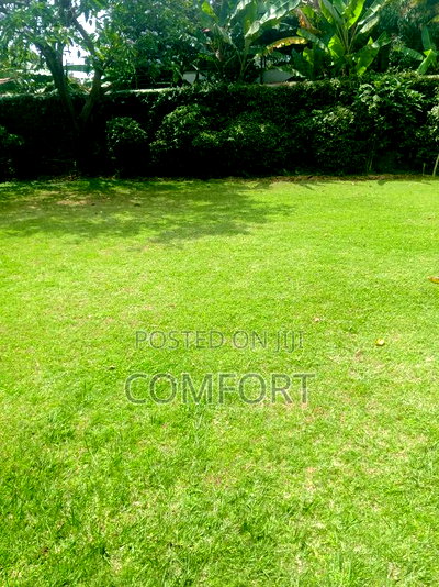 5bdrm Mansion in Lavington Green for rent - Image 1