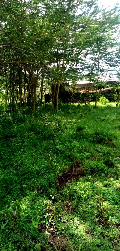 Quarter Acre Commercial Plot in Kajiado CBD