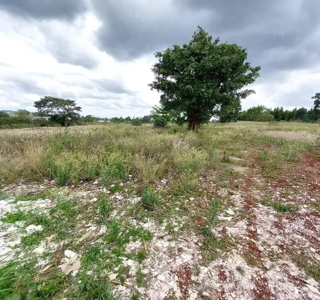 3-Acre Runda Gem at KSh 300M