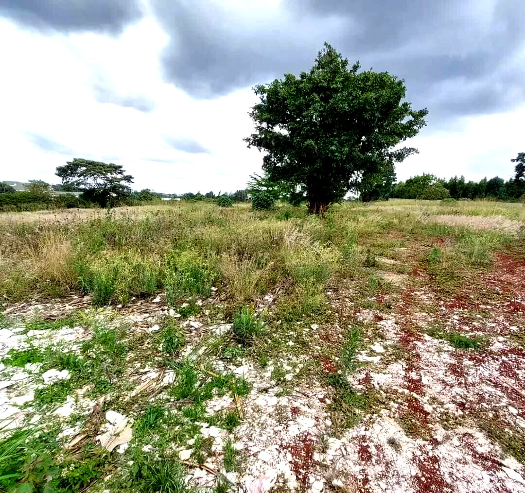 3-Acre Runda Gem at KSh 300M