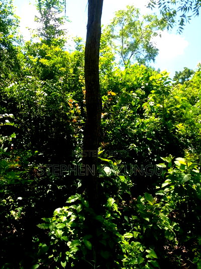 1/4 Acre Plot Near to Chandarana Shopping in Diani Beach - Image 3