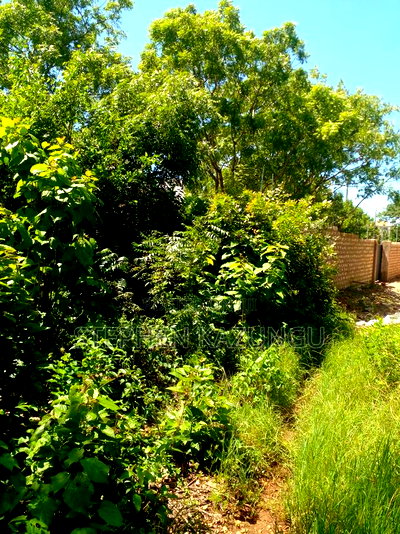 1/4 Acre Plot Near to Chandarana Shopping in Diani Beach - Image 2