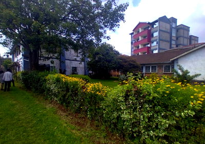 Kikuyu's 40-Bed Hospital for Sale