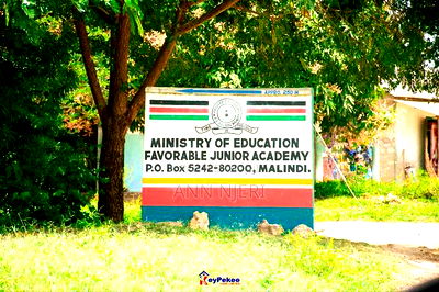 Commercial - Image 3