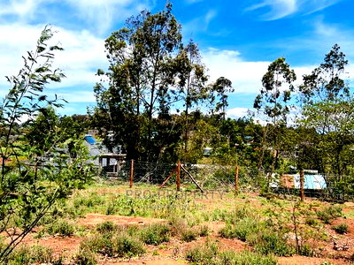 50 X 100fts Plots for Sale in Kikuyu, Gikambura. - Image 3
