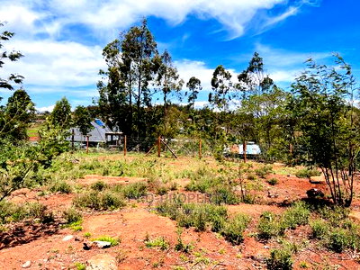50 X 100fts Plots for Sale in Kikuyu, Gikambura. - Image 14