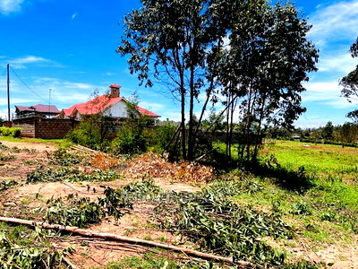 50 X 100fts Plots for Sale in Kikuyu, Gikambura. - Image 8