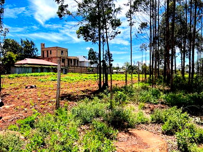 50 X 100fts Plots for Sale in Kikuyu, Gikambura. - Image 16