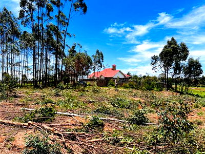 50 X 100fts Plots for Sale in Kikuyu, Gikambura. - Image 7