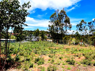 50 X 100fts Plots for Sale in Kikuyu, Gikambura. - Image 12