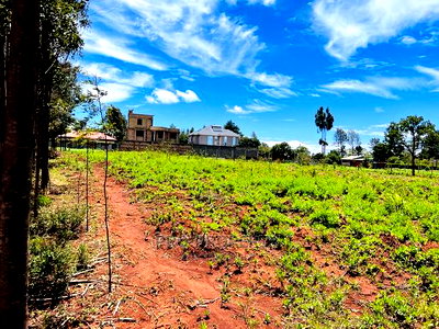 50 X 100fts Plots for Sale in Kikuyu, Gikambura. - Image 10