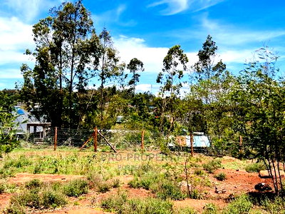 50 X 100fts Plots for Sale in Kikuyu, Gikambura. - Image 11