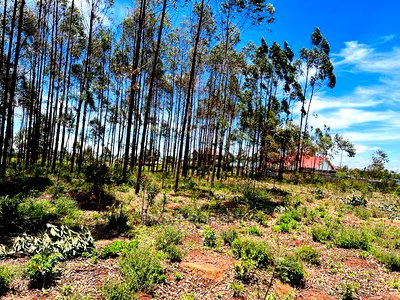 50 X 100fts Plots for Sale in Kikuyu, Gikambura. - Image 13