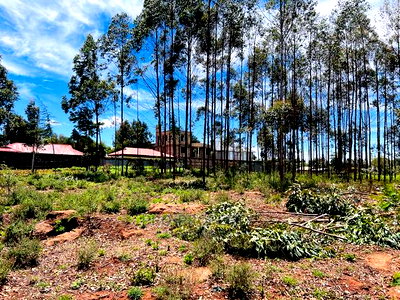 50 X 100fts Plots for Sale in Kikuyu, Gikambura. - Image 15