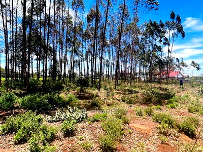 50 X 100fts Plots for Sale in Kikuyu, Gikambura. - Image 9