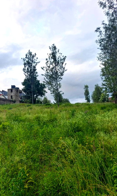 Quarter Acre Plot with Garden in Nkoroi