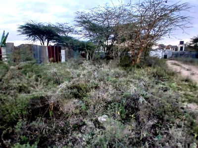 Distressed Deal! Full Prime 50 by 100 in a Gated Neighborhood in Rimpa - Image 3