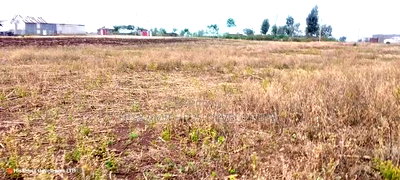 Quick Sale 1.6acre on Sale in Ampiva 4m Only - Image 5