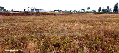 Quick Sale 1.6acre on Sale in Ampiva 4m Only - Image 6