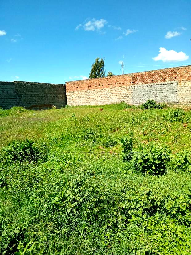 1/4 Plot Kimumu Ideal for Rental.