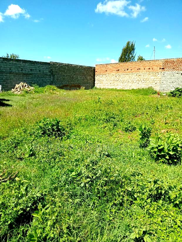 1/4 Plot Kimumu Ideal for Rental.