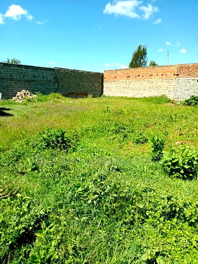 1/4 Plot Kimumu Ideal for Rental. - Image 2