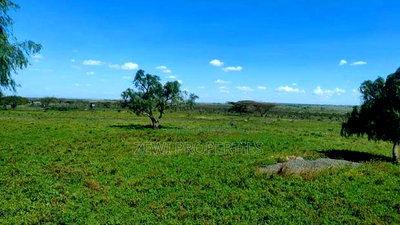 100 Acre's Kipeto-Kajiado County - Image 4