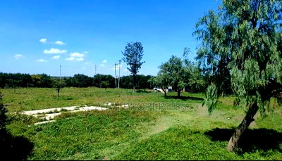 100 Acre's Kipeto-Kajiado County - Image 2