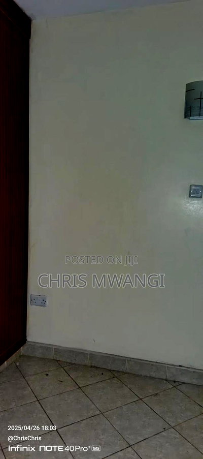 1bdrm Block of Flats in Ruiru Estate, Kwa Kairu for sale - Image 7