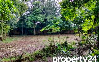 40M Plot in Karen