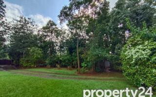 40M Plot in Karen