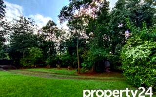 40M Plot in Karen