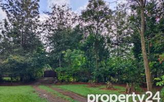 40M Plot in Karen