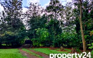 40M Plot in Karen