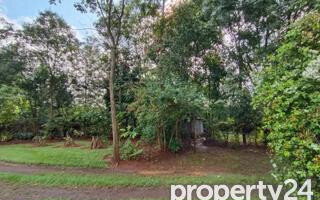 40M Plot in Karen