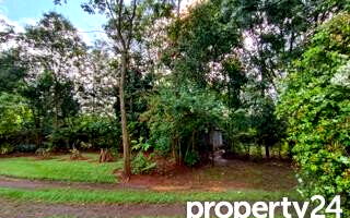 40M Plot in Karen