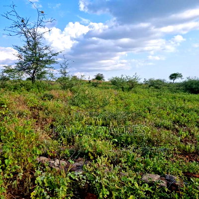 10 Acres Mparashi,Off Magadi Road,At Per Acre - Image 6