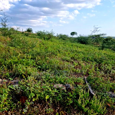 10 Acres Mparashi,Off Magadi Road,At Per Acre - Image 9