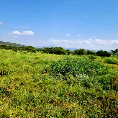 10 Acres Mparashi,Off Magadi Road,At Per Acre - Image 2