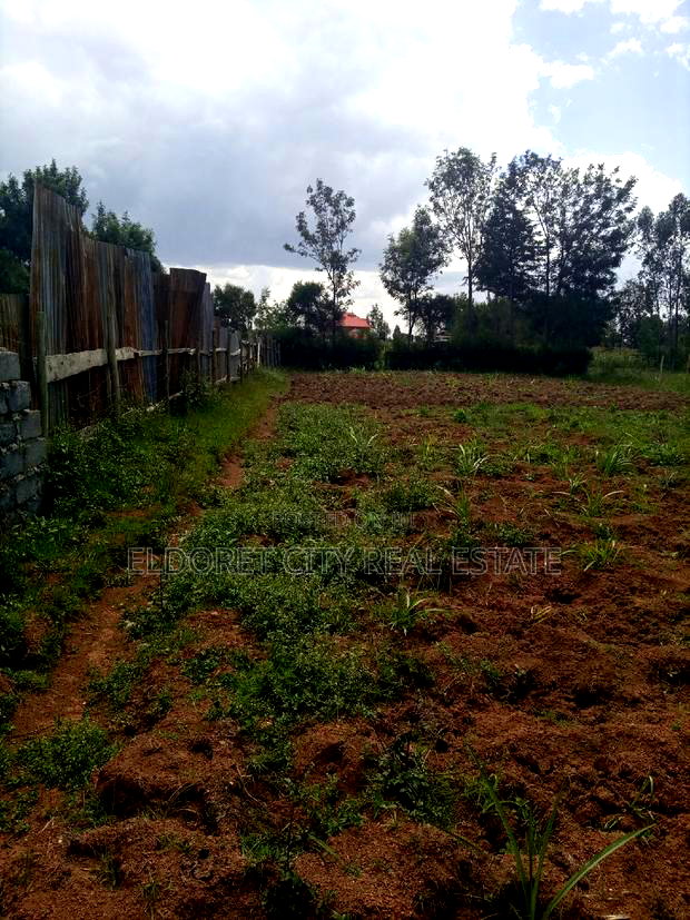 1/4 Plot Annex With Title 100 Metres From Second. Tarmac