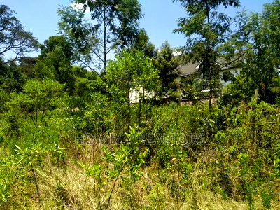 Residential Eighth Acre Plot in Kerarapon, Ngong. Red Soil - Image 1